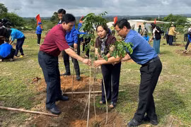 Trồng gần 300 cây xanh tại lễ phát động trồng cây “Đời đời nhớ ơn Bác Hồ”