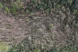 Bão liên tiếp gây thiệt hại hơn 27 tỷ tại xã Đăk Song