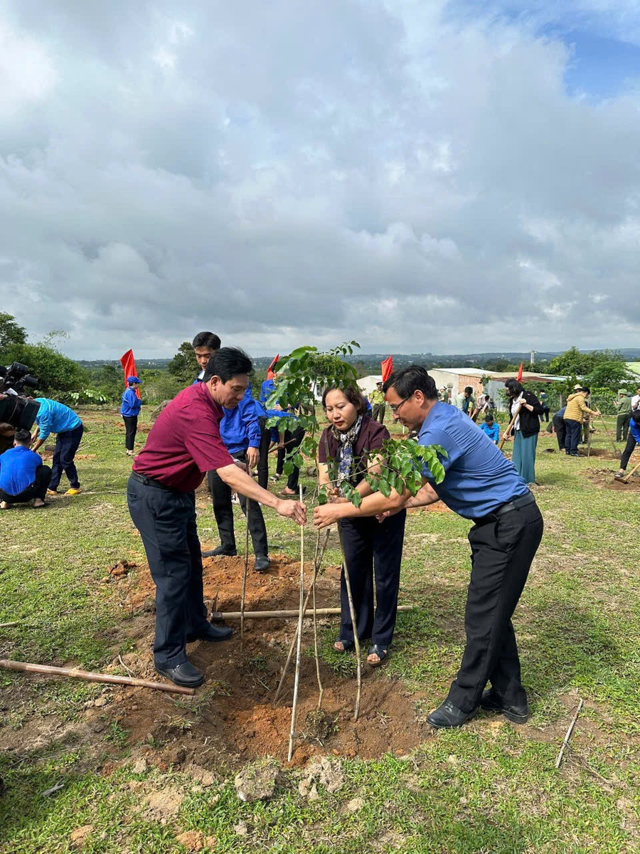 Đồng chí Ayun H’But-Tỉnh ủy viên, Phó Chủ tịch HĐND tỉnh Gia Lai cùng các ban, ngành, hội, đoàn thể huyện Chư Păh trồng cây tại lễ phát động. Ảnh: Mạnh Hà anh-2-dong-chi-ayun-hbut-tinh-uy-vien-pho-chu-tich-hdnd-tinh-gia-lai-cung-cac-ban-nganh-hoi-doan-the-huyen-chu-pah-trong-cay-tai-le-phat-dong.jpg