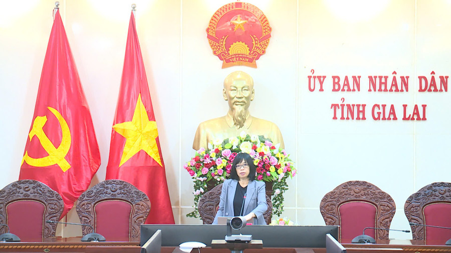 Phó Chủ tịch UBND tỉnh Nguyễn Thị Thanh Lịch phát biểu tại buổi làm việc. Ảnh: Minh Trung Phó Chủ tịch UBND tỉnh Nguyễn Thị Thanh Lịch phát biểu tại buổi làm việc. Ảnh: Minh Trung