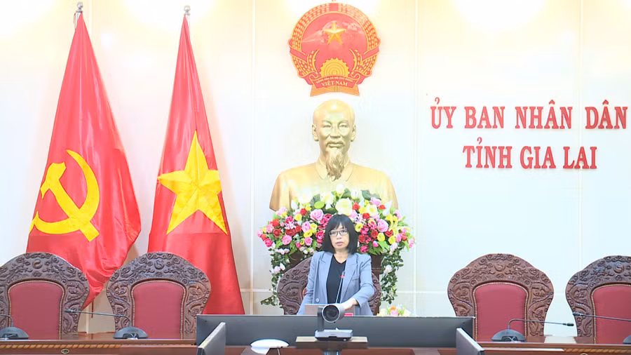 Phó Chủ tịch UBND tỉnh Nguyễn Thị Thanh Lịch phát biểu tại buổi làm việc. Ảnh: Minh Trung