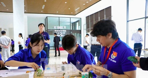 Bạn trẻ Đà Nẵng thi thiết kế, dựng mô hình nhà chống thiên tai, bão lũ