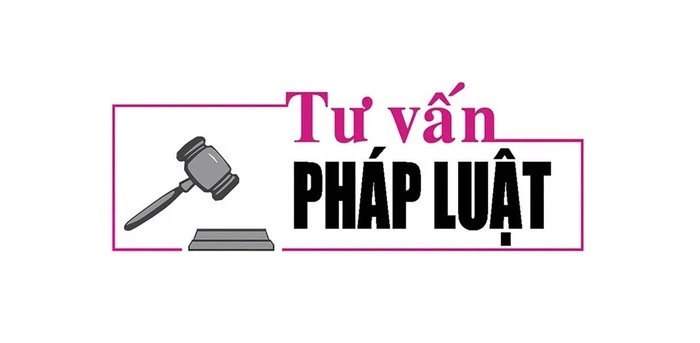 Luật sư Bùi Thanh Vũ Tư vấn pháp luật