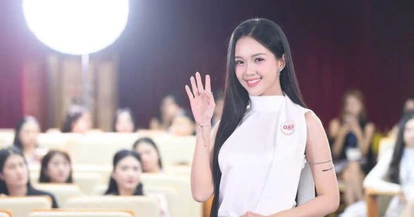 Hoa hậu Việt Nam 2024: Lộ diện dàn thí sinh 'tài sắc vẹn toàn'