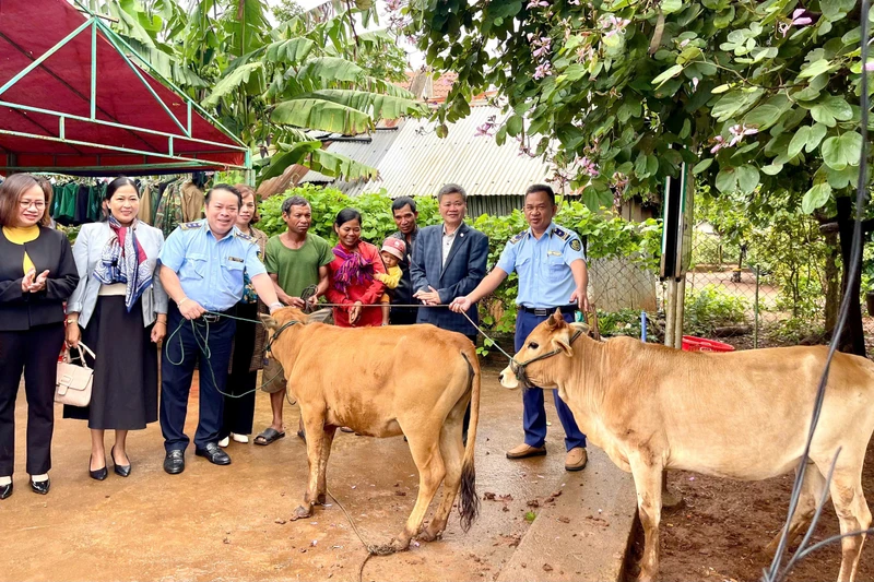 Lãnh đạo Sở Tài nguyên và Môi trường trao bảng tượng trưng hỗ trợ nhà và bò sinh kế cho hộ khó khăn ở làng Tung, xã Ia Nan, huyện Đức Cơ. Ảnh: Hồng Thương