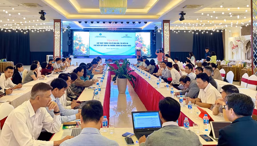 quang-canh-toa-dam.jpg