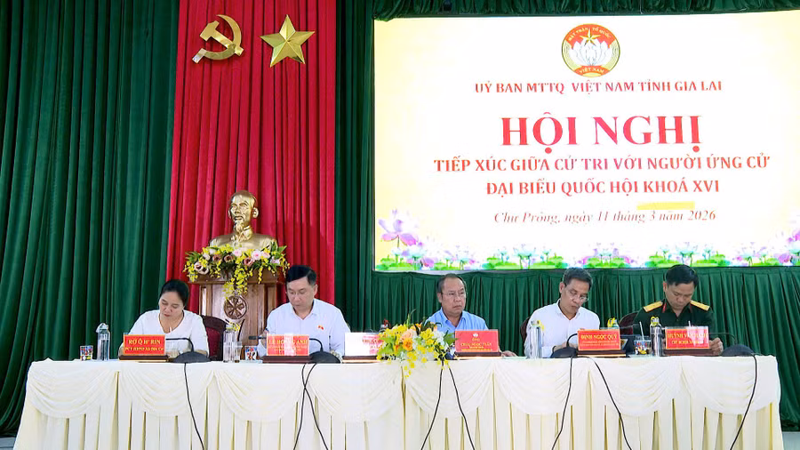 cac-ung-cu-vien-dbqh-anh-manh-ha.jpg