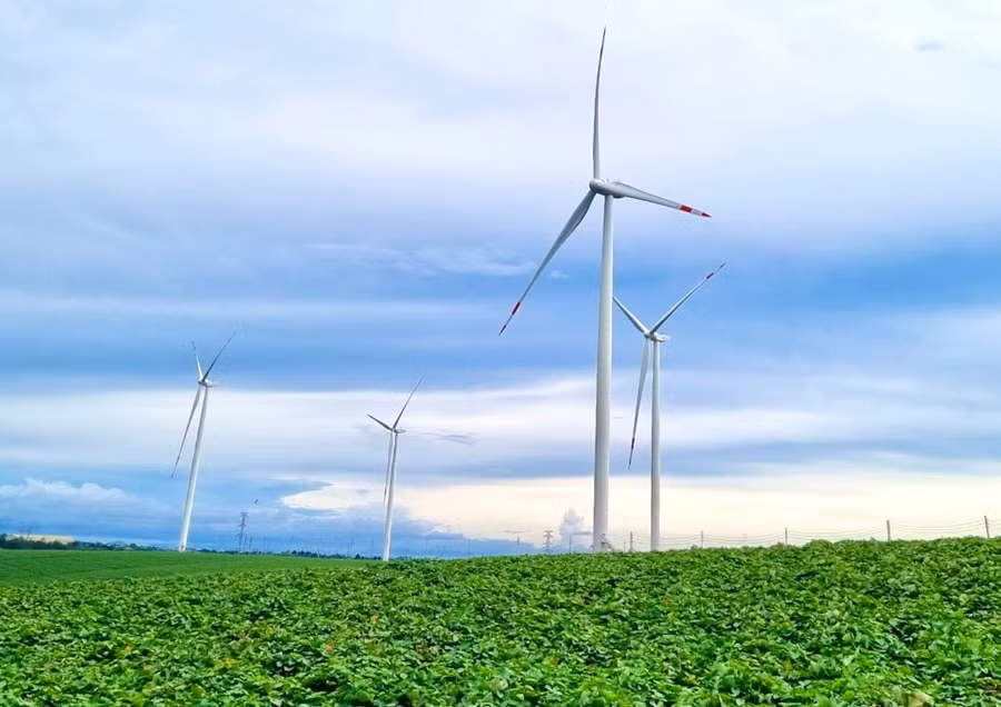 trang-trai-phong-dien-hbre-chu-prong-co-cong-suat-50-mw-gom-12-tua-bin-gio-anh-vt.jpg