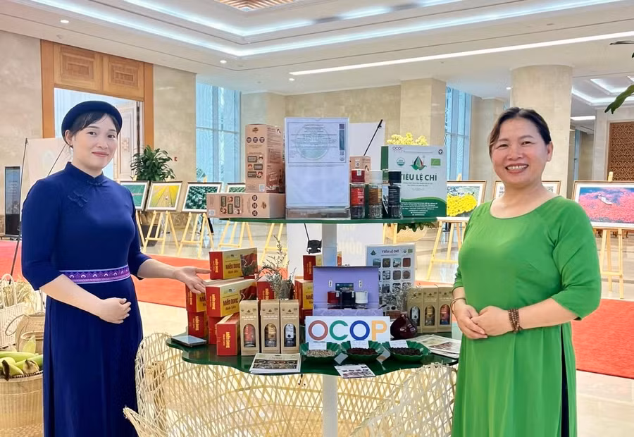 anh-dvcc.jpg