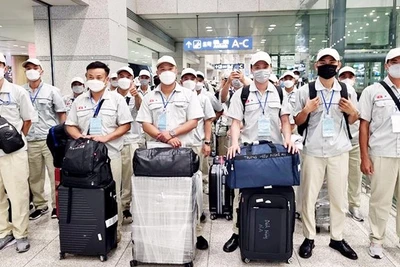 Phối hợp tuyển 1.000 lao động đi làm việc tại Hàn Quốc nghề Hàn và Khuôn mẫu
