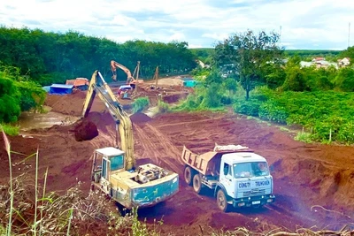 Gia Lai hướng dẫn khai thác khoáng sản làm vật liệu san lấp, thu hồi khoáng sản từ dự án cải tạo đất nông nghiệp