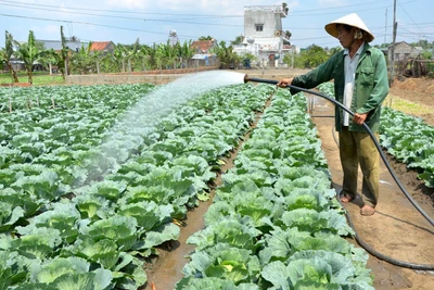 Dự báo, cảnh báo thời tiết trong tháng 1-2025 trên địa bàn tỉnh Gia Lai