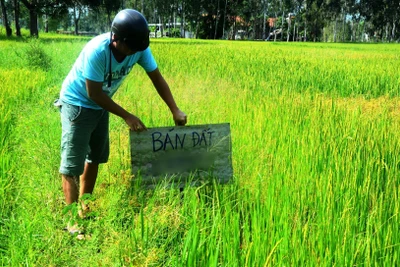 Gia Lai kéo dài thời hạn áp dụng 21 quyết định ban hành bảng giá các loại đất đến hết ngày 31-12-2025