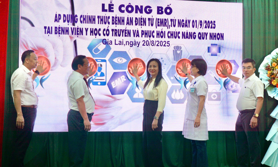 Các đại biểu bấm nút công bố áp dụng bệnh án điện tử tại Bệnh viện Y học cổ truyền và Phục hồi chức năng Quy Nhơn. Ảnh: T.K gen-o-bam-nut.jpg
