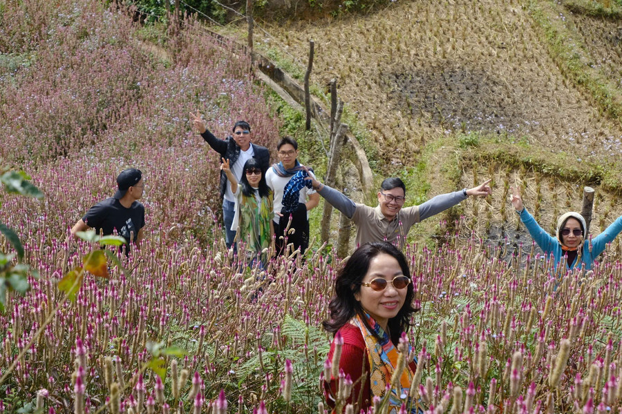 Du khách thoải mái check-in giữa cánh động hoa bạt ngạt, trải dài đến vô tận... ở đồi mâm xôi nhỏ. Ảnh: Hà Mai