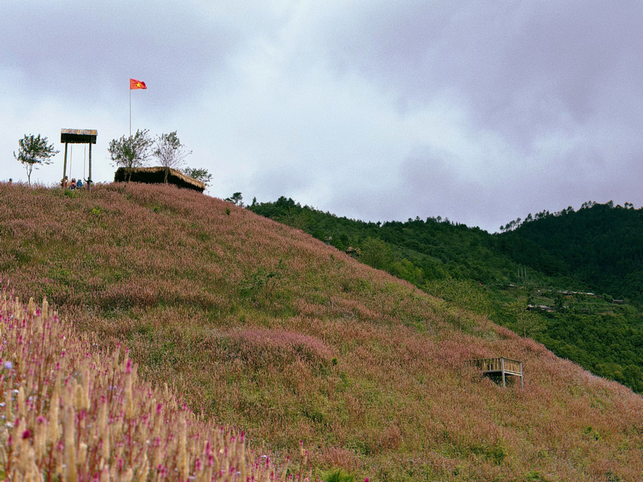 Lá cờ đỏ sao vàng tung bay trên đỉnh đồi khiến du khách nội địa đặt chân tới đây thêm tự hào về vẻ đẹp của đất nước. Ảnh: Hà Mai