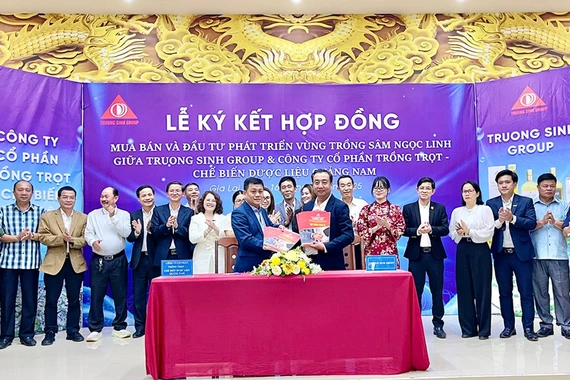 Ký kết hợp tác phát triển chuỗi giá trị Sâm Ngọc Linh.