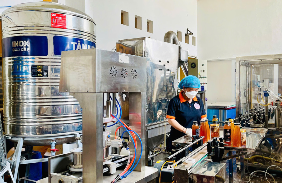 Các HTX đầu tư máy móc hiện đại để nâng cao chất lượng sản phẩm. Ảnh: Thảo Nguyên htx-mat-ong-phuong-di-bee-dau-tu-may-moc-hien-dai-de-nang-cao-chat-luong-sp-mat-ong.jpg