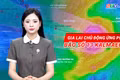Gia Lai chủ động ứng phó bão số 13 Kalmaegi