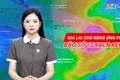 Gia Lai chủ động ứng phó bão số 13 Kalmaegi