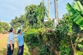 “Chìa khóa” giúp người dân thoát nghèo bền vững 