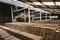 Ðồng lòng chung sức, vững bước đi lên