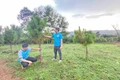 Tuổi trẻ Gia Lai tích cực trồng cây bảo vệ môi trường