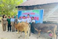 Xóa nhà tạm-Kiến tạo tương lai - Kỳ cuối: Thắp sáng niềm tin, gieo mầm hy vọng