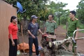 “Vỡ mộng” nơi đất khách