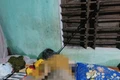 Gia Lai: Điều tra nguyên nhân cụ bà tử vong bất thường trong phòng ngủ