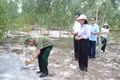 Khoanh vùng khu vực nghi có hố chôn liệt sĩ tại di tích Cấm An Sơn.