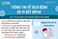 Gia Lai chủ động phòng, chống dịch bệnh do vi rút Nipah