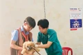 Trung tâm Kiểm soát bệnh tật tỉnh Gia Lai đã cấp 430 tờ áp phích tuyên truyền phòng- chống bệnh dại cho 12 Trung tâm y tế huyện trên địa bàn tỉnh. Ảnh: N.N