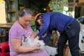 Đến nay, tỷ lệ chó, mèo nuôi trên địa bàn TP. Pleiku đã được tiêm vắc xin phòng Dại đạt trên 33%. Ảnh: Hồng Thương