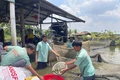 Gia Lai: Nhiều giải pháp phát triển chuỗi liên kết nuôi trồng thủy sản