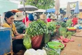 Độc đáo chợ chiều Pleiku