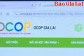Đưa sản phẩm nông nghiệp lên sàn thương mại điện tử - Cơ hội và thách thức cho nông dân, hợp tác xã