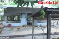 Thay đổi thói quen chăn nuôi nhờ những mô hình “xanh”