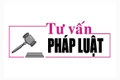 Luật sư Bùi Thanh Vũ tư vấn pháp luật về quyền và nghĩa vụ của cha mẹ đối với con nuôi