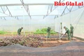 Đồn Biên phòng Cửa khẩu Quốc tế Lệ Thanh: Sôi nổi các hoạt động thi đua chào mừng Kỷ niệm 50 năm ngày truyền thống đơn vị