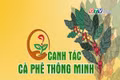 Dinh dưỡng cho cà phê đầu mùa mưa