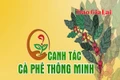 Dinh dưỡng cho cà phê đầu mùa mưa