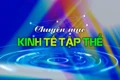 Chuyên mục Kinh tế tập thể Gia Lai 20-5-2025