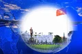 Thời sự Truyền hình Báo Gia Lai trưa 16-5-2025 
