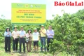 Tín hiệu tích cực từ mô hình “Canh tác cà phê thông minh”