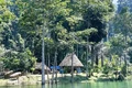 Trả nợ cho rừng
