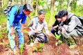 Tránh nguy cơ ngộ độc nấm rừng