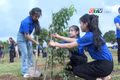 Khi cộng đồng cùng vun những mầm xanh