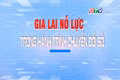 Gia Lai nỗ lực trong hành trình chuyển đổi số