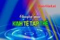 Chuyên mục Kinh tế tập thể 17-6-2025